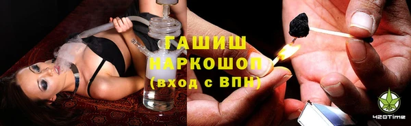 трава Аркадак