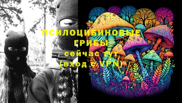 не бодяженный Арсеньев
