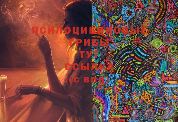 трава Аркадак